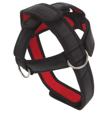 Neck Trainer Attachment