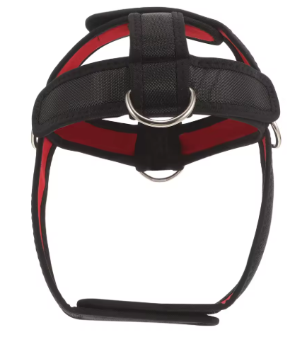 Neck Trainer Attachment