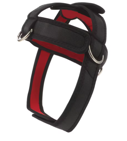 Neck Trainer Attachment